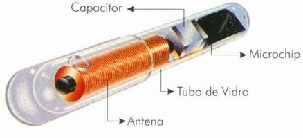 Chave Codificada com Transponder Ou Chip Valor Dom Pedro - Chave Codificada com Transponder Ou Chip